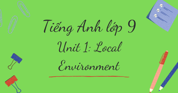 Từ vựng tiếng Anh lớp 9 | Unit 1: Local Environment - Môi trường địa phương